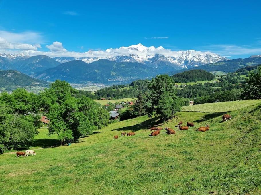 A Cordon Entre Bois Et Nature Buitenkant foto